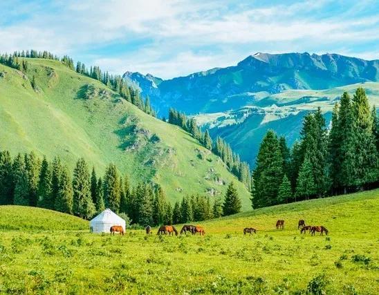 棒球|日本职业棒球选手的平均年薪为4312万日元!年薪中位数是多少呢？