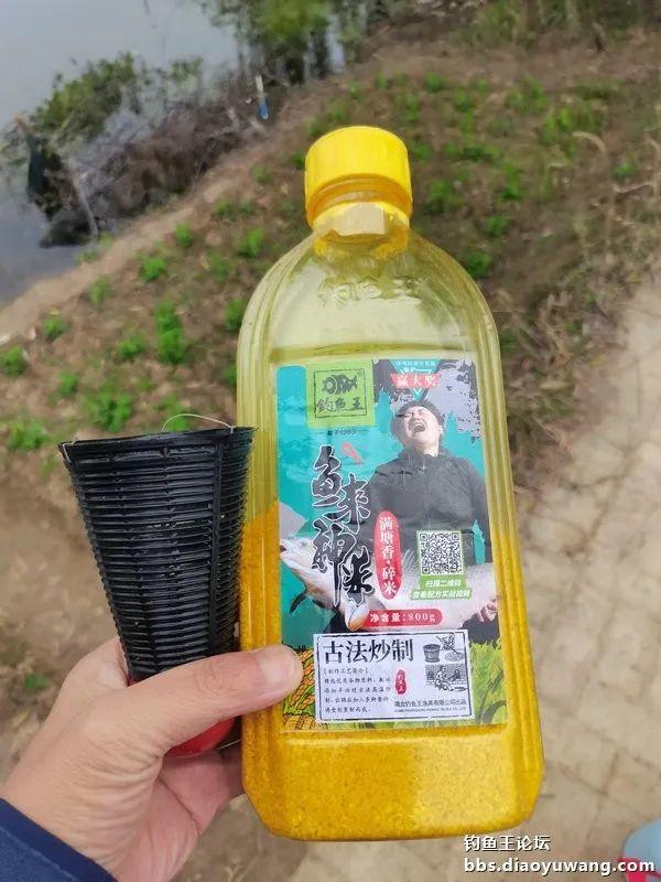 钓鱼|大风也出击，野塘拉小鲫