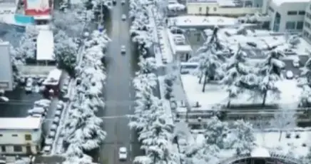 暴雪来袭！多地紧急停课应对极端天气