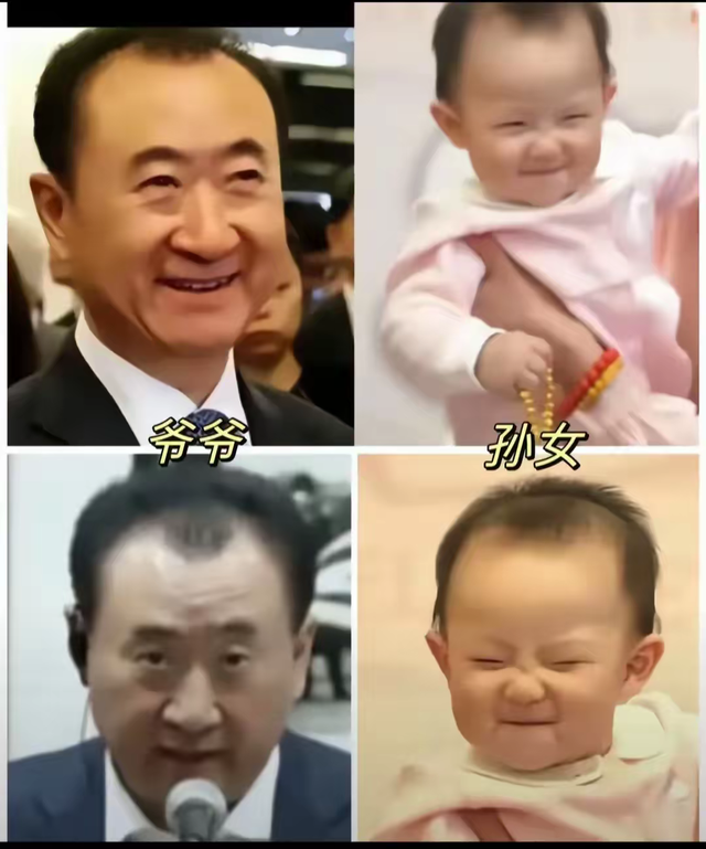 黄一鸣赢麻了，暗示王健林主动联系她，赠送五千万豪宅。