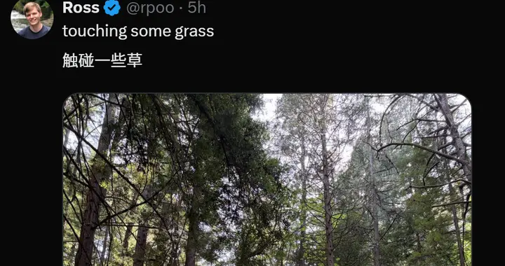 只剩馬斯克自己！xAI 11個聯合創始人跑光了