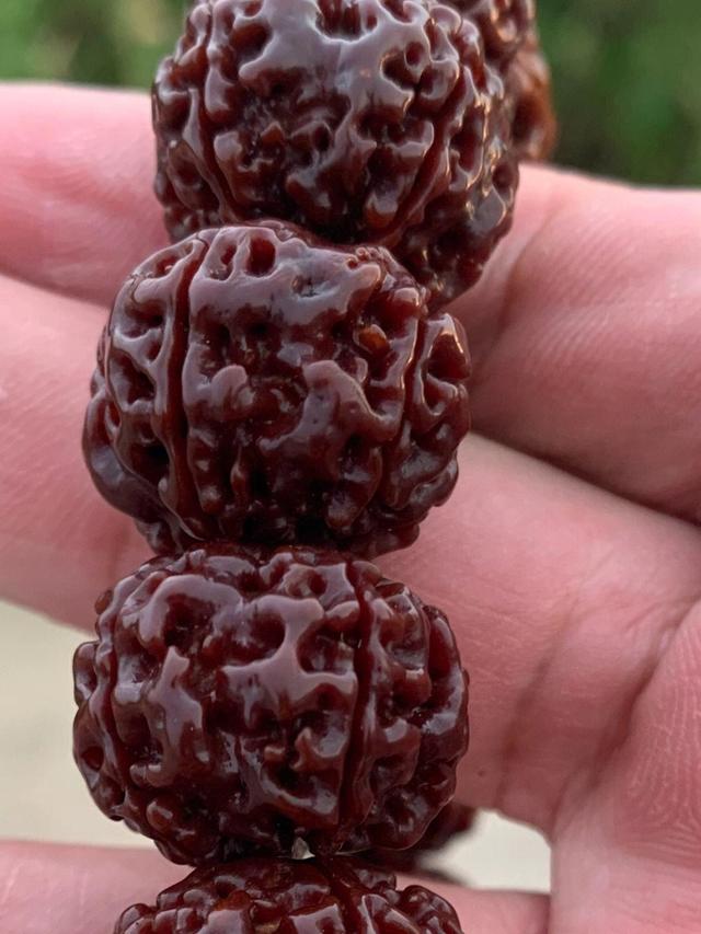 沉香|金刚菩提，就是文玩菩提中的王者，没有之一！
