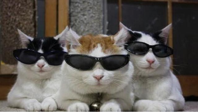 3.6 简评：中国智能体刷屏科技圈