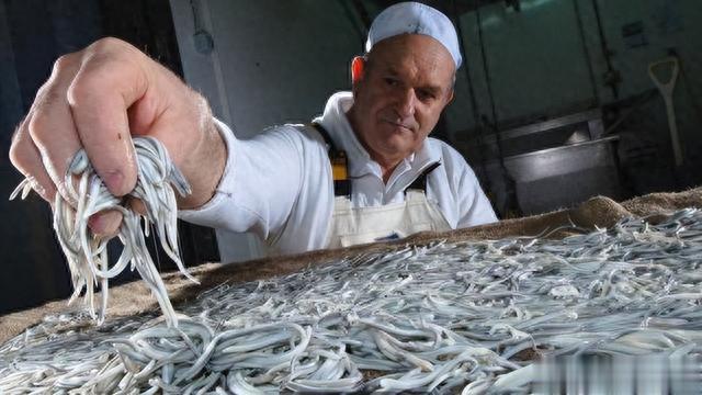 鳗鱼|曾经是猪饲料，现在却被卖到1万一斤，被誉为“西班牙国菜”？
