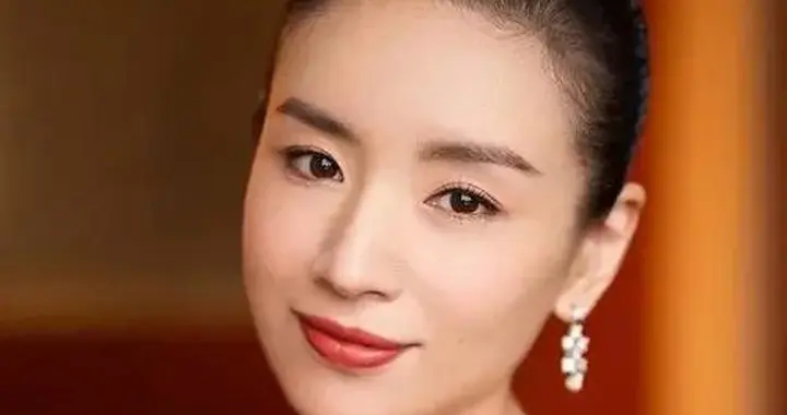 董洁，文静聪慧，气质清冷，我见犹怜！