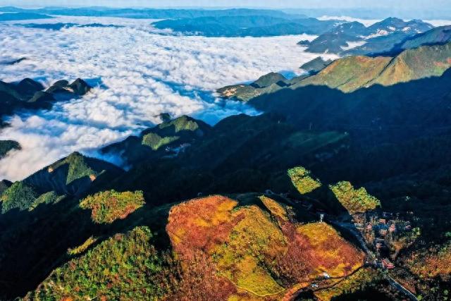 旅游攻略|四川新晋彩林观赏地，秋日美景媲美光雾山，而且游客更少