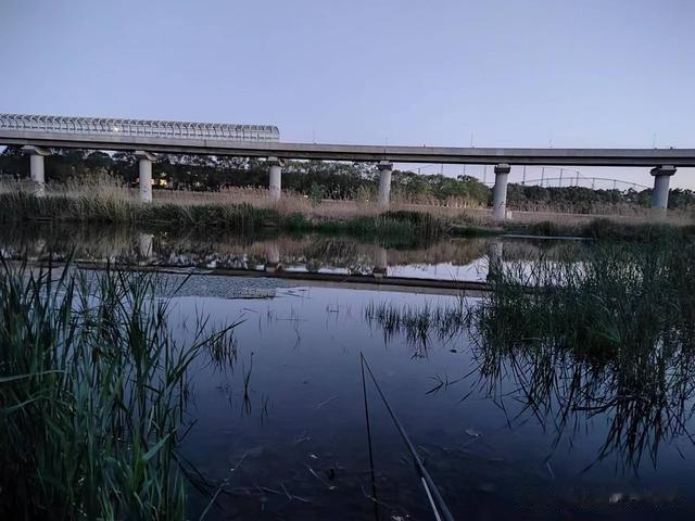 钓鱼|钓鱼日记——2023年4月25日（沙河南北岸夜钓）