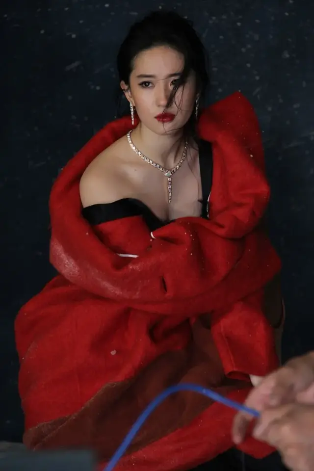 刘亦菲早期写真大片