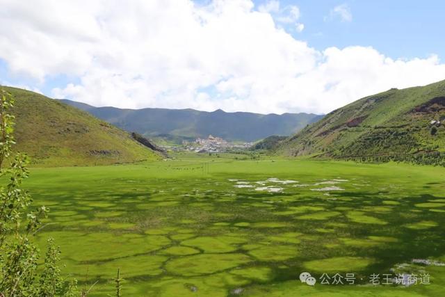 向上交往：如何通过与领导聊天来制造轻松氛围？