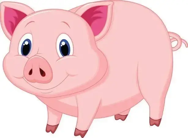 生肖猪祝你在新的一年里事业腾飞，身体健康，万事如意！