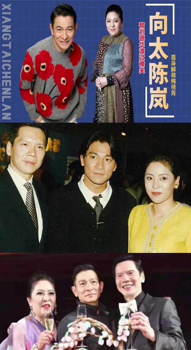 向太称被刘德华吓哭，发言警告华仔，刘德华妻子也暖心发声