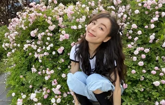 45岁张静初的院子，小院花花草草，圈粉无数网友，是向往的生活