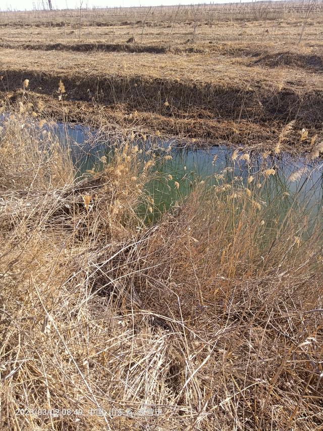 文具|兔年开张钓伤手，鱼获不多野趣多