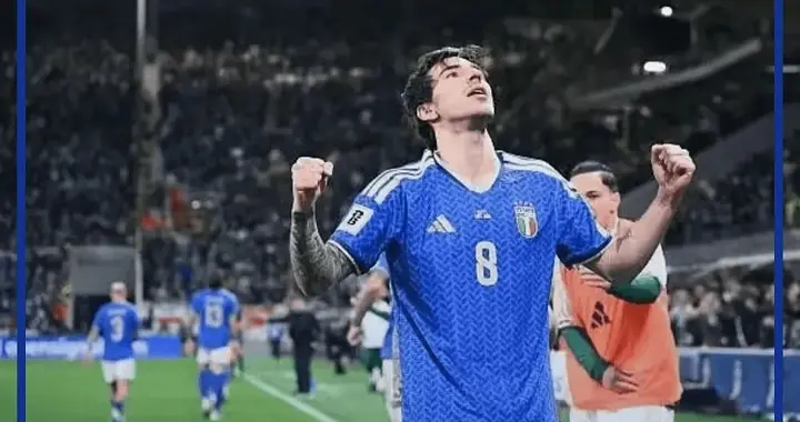 世欧预！2-0托纳利破门，基恩制胜球，意大利力克北爱尔兰晋级！