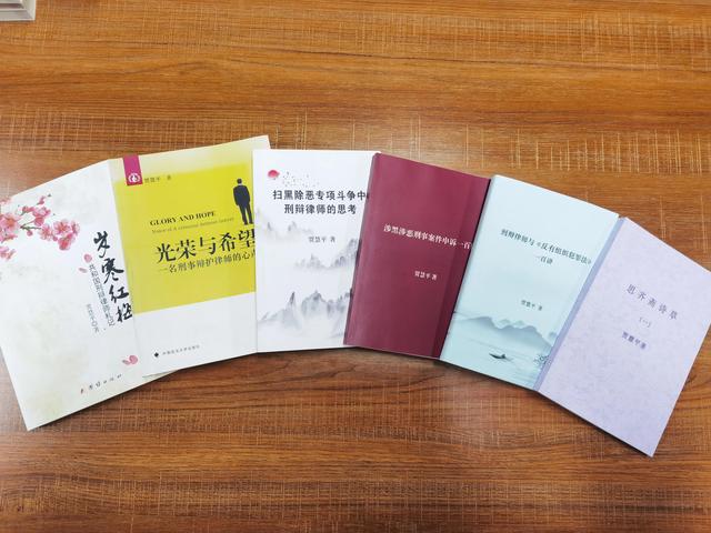 如何对有组织犯罪案件中利害关系人的财产进行司法有效救济