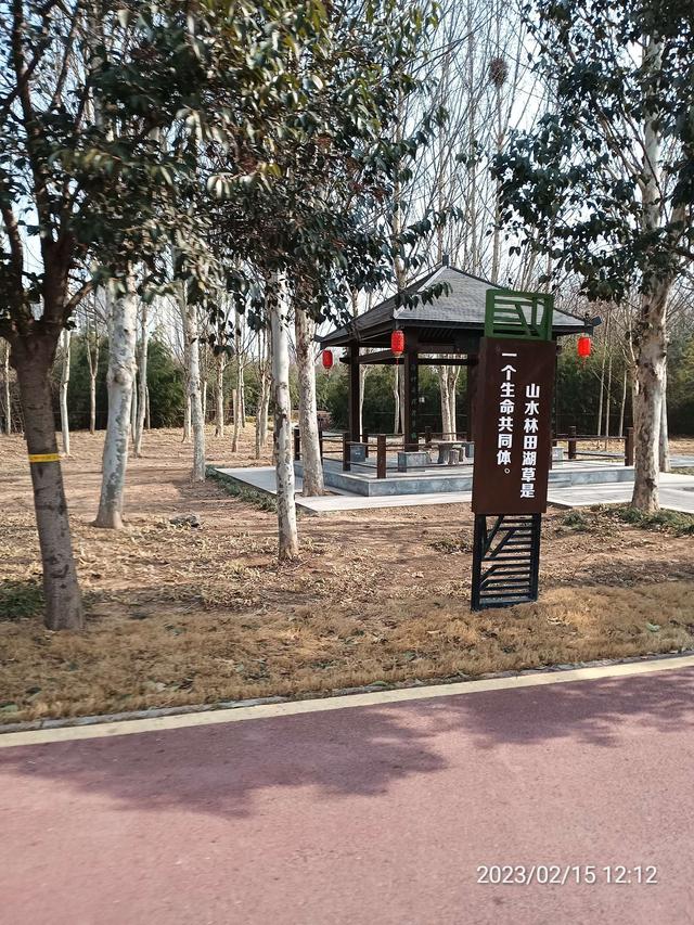 |【钓鱼之家虾粉】天气晴好渔人多，争分夺秒享欢乐