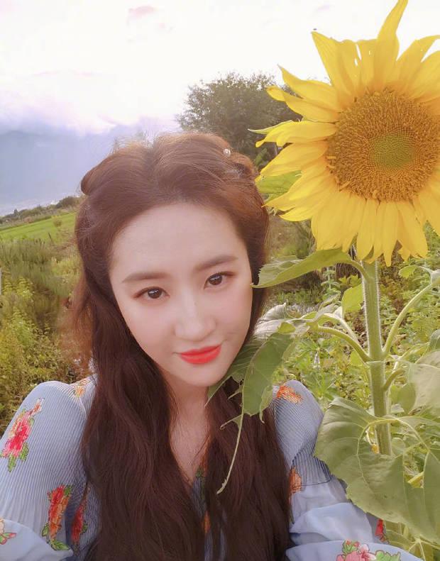 刘亦菲|刘亦菲晒新剧杀青照清新动人 与向日葵自拍露娇憨笑容