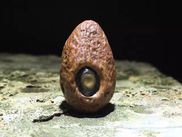 文玩|筋脉石是什么？车成珠子，还挺好看！