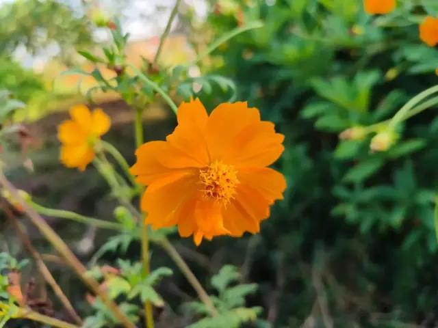 人到中年，最好的状态是什么？