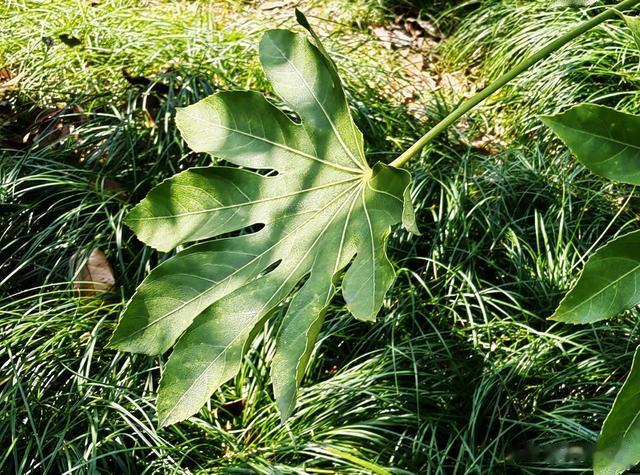 职场有委屈，受得住再接