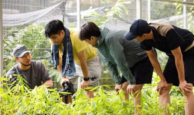 胡歌，突传新消息