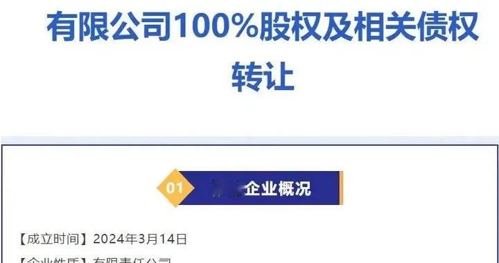 央企转让多家储能公司！