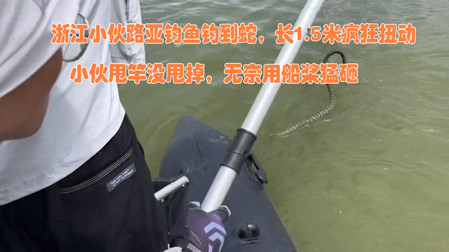 甩都甩不掉！浙江男子钓鱼钓到长蛇，无奈用船桨猛砸