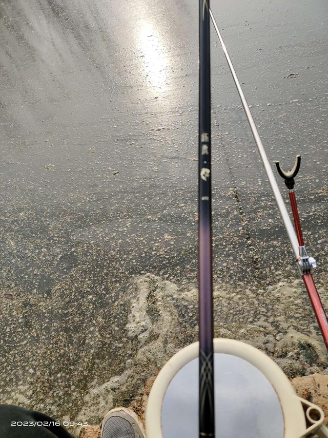 饵料|春暖艳阳油泼面，软竿细线打野战