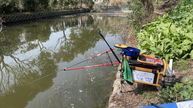 |【开钓节】半日时光上鱼百条，喜获鲢鳙双尾