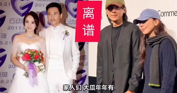 惊天反转！张婉婷疑似介入董璇高云翔婚姻，聊天记录全曝光