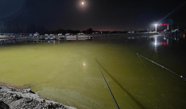 为什么夏季推荐夜钓？这8个优势，听我一一道来