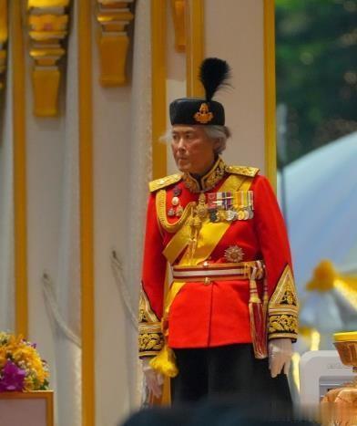 诗琳通公主亮相阅兵仪式，面色发黑脸颊凹陷，还不忘提携提帮功