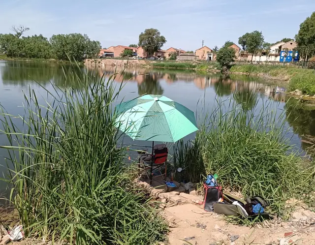 野钓就那么回事儿，就一个变字，气候天气钓点变，钓法也跟着变