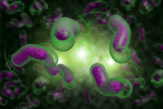 研究发现粘液分子可以预防霍乱的发生