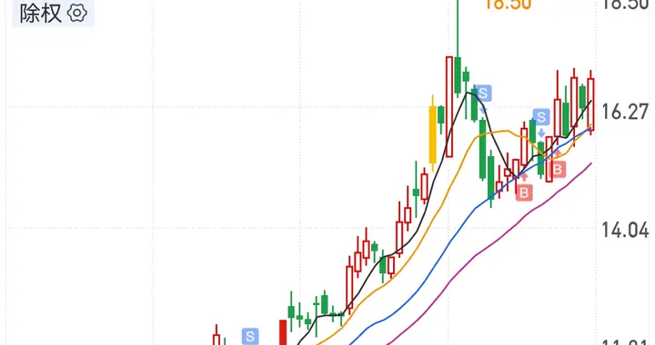 金风科技，可否重现高光时刻？再次迎风飞扬？