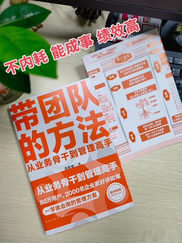 从菜鸟到高手，一本搞定团队管理的秘籍！