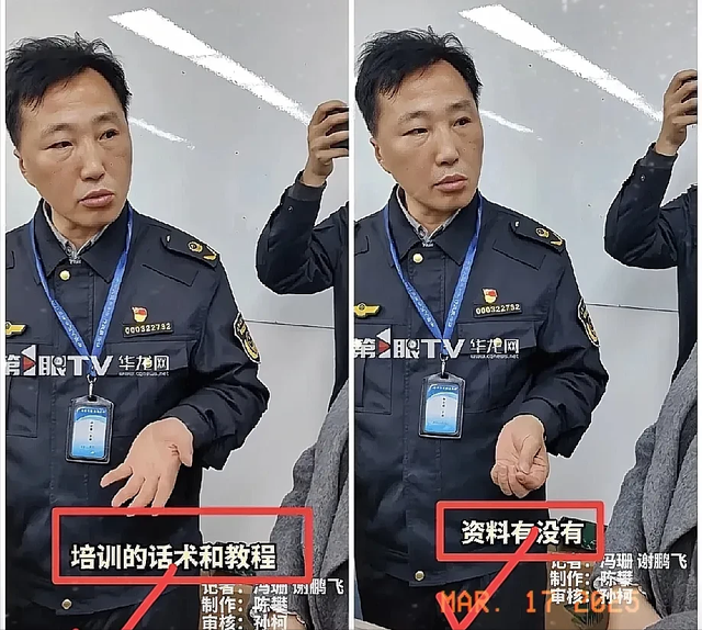 啄木鸟的所做所为就是电商发展给社会的最终结果