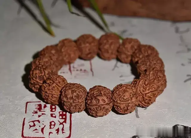 你手中的金刚菩提，是真的吗？