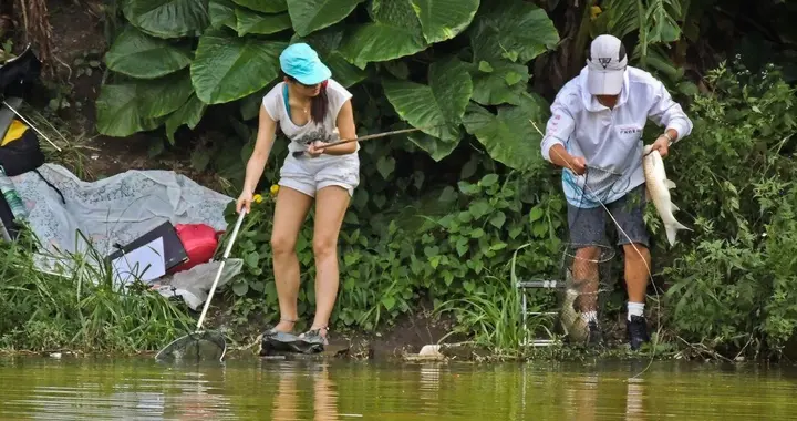 |钓到鱼不拿走又不吃，为何要去钓？钓鱼的意义又是什么