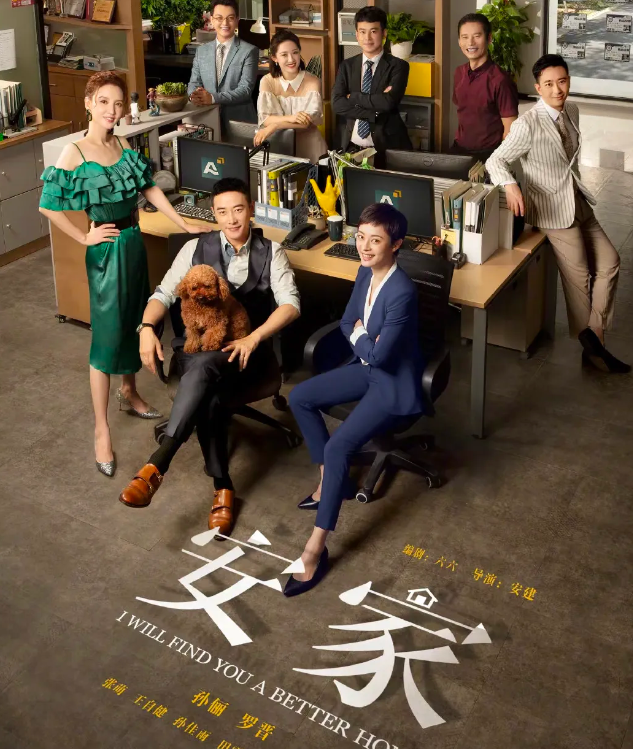 53集都市大剧《安家》！全员熟人，收视率第一，非常值得一看！