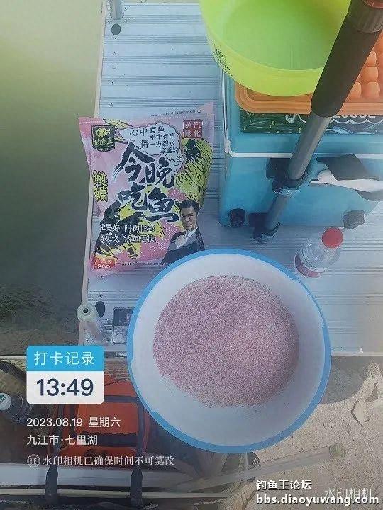 网红钓点钓鲢鳙