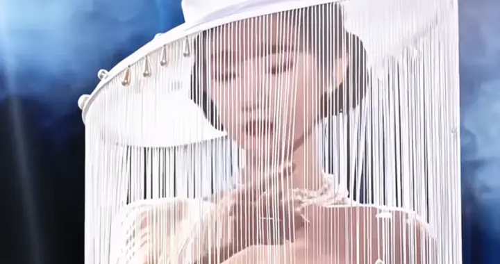 微博之夜最出圈造型！张艺凡成最大赢家，内娱终于有创新了