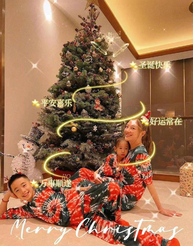 应采儿|应采儿平安夜晒母子三人合影 坐圣诞树旁笑容满面