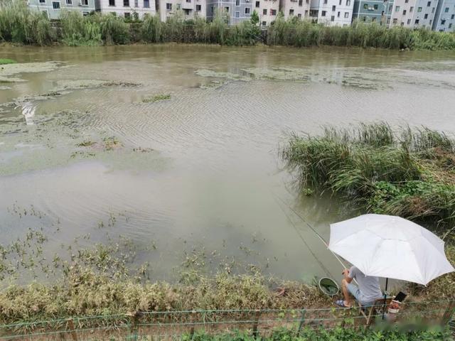 夏季野钓，这5种情况反而要钓浅！不仅发窝快，还经常碰到大鱼