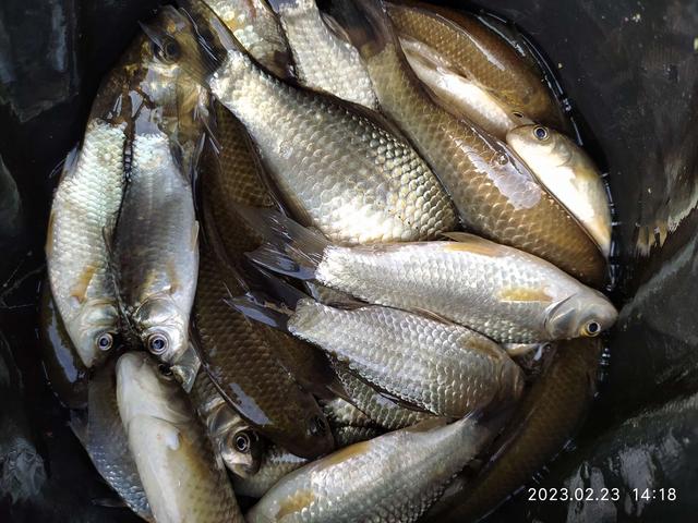 |忙里偷闲小河边，来也空空去也空空