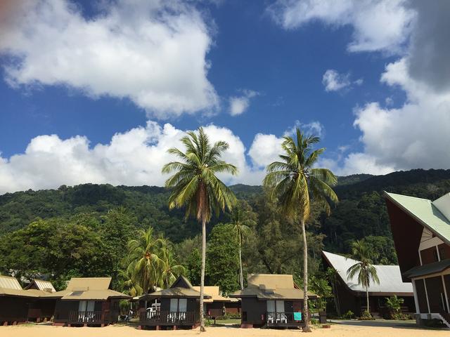 马来西亚留学生：回国发展还是海外留驻的抉择