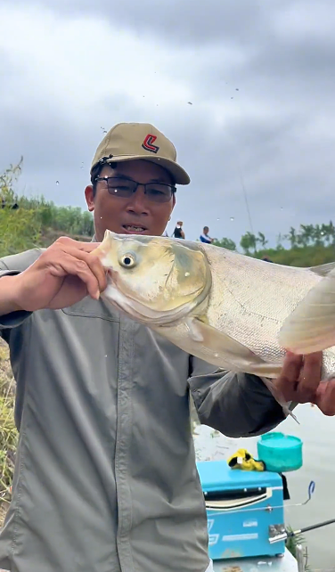 江河野钓白鲢经验总结，学会这三点白鲢轻松爆护！
