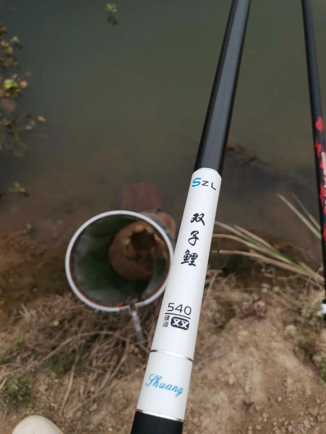 鲫鱼|长竿细线配小钩，乱军之中取“首级”