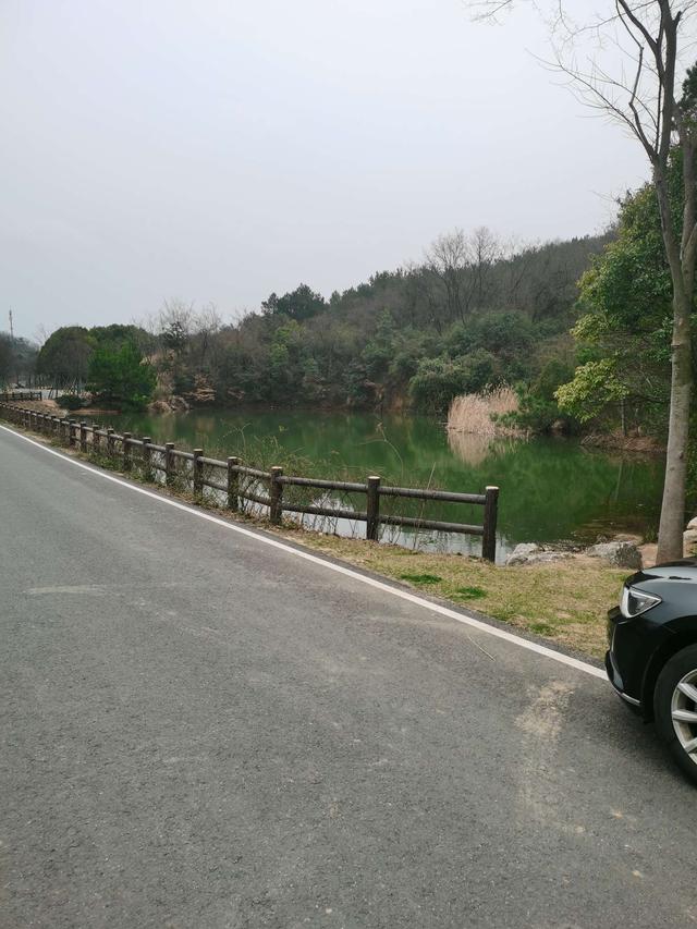 钓鱼|阴天雨天好钓鱼，今日再战小公园