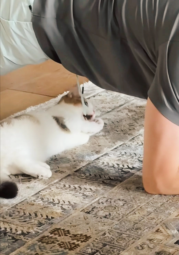 张馨予晒广州豪宅内景，老公何捷37岁一身腱子肉，在客厅健身撸猫